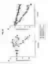 Fig. 27 - COMPOSITIONS AND METHODS OF USE OF TARGETING PEPTIDES FOR DIAGNOSIS AND THERAPY OF HUMAN CANCER
