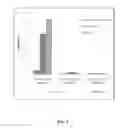Fig. 06 - COMPOSITIONS AND METHODS FOR ENHANCING CONTRAST IN IMAGING
