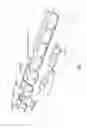 Fig. 02 - Macrophage-Enhanced MRI (MEMRI) in a Single Imaging Session