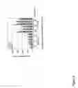 Fig. 09 - Novel Retinoid Inducible Factor and Uses Thereof