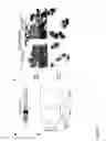 Fig. 11 - Novel Retinoid Inducible Factor and Uses Thereof