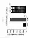 Fig. 04 - METHOD FOR DEDIFFERENTIATING ADIPOSE TISSUE STROMAL CELLS