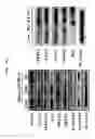 Fig. 08 - METHOD FOR DEDIFFERENTIATING ADIPOSE TISSUE STROMAL CELLS