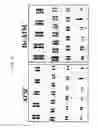 Fig. 09 - METHOD FOR DEDIFFERENTIATING ADIPOSE TISSUE STROMAL CELLS