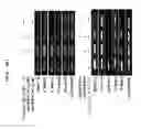 Fig. 18 - METHOD FOR DEDIFFERENTIATING ADIPOSE TISSUE STROMAL CELLS