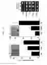 Fig. 28 - METHOD FOR DEDIFFERENTIATING ADIPOSE TISSUE STROMAL CELLS