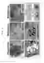 Fig. 30 - METHOD FOR DEDIFFERENTIATING ADIPOSE TISSUE STROMAL CELLS