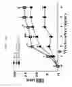 Fig. 33 - METHOD FOR DEDIFFERENTIATING ADIPOSE TISSUE STROMAL CELLS