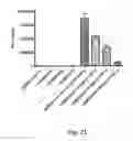 Fig. 22 - Compositions and Methods of Using Living and Non-Living Bioactive Devices with Components Derived from Self-Renewing Colony Forming Cells Cultured and Expanded In Vitro