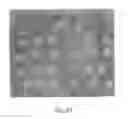 Fig. 56 - Compositions and Methods of Using Living and Non-Living Bioactive Devices with Components Derived from Self-Renewing Colony Forming Cells Cultured and Expanded In Vitro