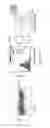 Fig. 07 - Materials and methods to enhance hematopoietic stem cells engraftment procedures