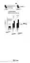 Fig. 08 - Materials and methods to enhance hematopoietic stem cells engraftment procedures