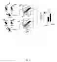 Fig. 10 - Materials and methods to enhance hematopoietic stem cells engraftment procedures