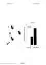 Fig. 25 - Materials and methods to enhance hematopoietic stem cells engraftment procedures