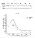 Fig. 07 - VALPROIC ACID, DERIVATIVES, ANALOGUES, AND COMPOSITIONS INCLUDING SAME AND METHODS FOR THEIR THERAPEUTIC USE