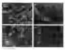 Fig. 01 - Methods and apparatus for manufacturing plasma based plastics and bioplastics produced therefrom