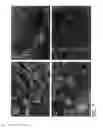 Fig. 02 - Methods and apparatus for manufacturing plasma based plastics and bioplastics produced therefrom