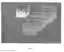 Fig. 02 - IN VITRO MICRO-ORGANS, AND USES RELATED THERETO