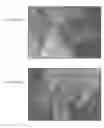 Fig. 08 - IN VITRO MICRO-ORGANS, AND USES RELATED THERETO