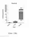 Fig. 111 - CNS delivery of therapeutic agents