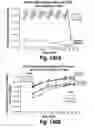 Fig. 118 - CNS delivery of therapeutic agents