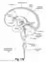 Fig. 146 - CNS delivery of therapeutic agents