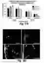 Fig. 150 - CNS delivery of therapeutic agents