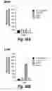 Fig. 33 - CNS delivery of therapeutic agents