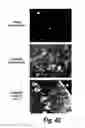 Fig. 38 - CNS delivery of therapeutic agents