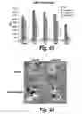 Fig. 41 - CNS delivery of therapeutic agents
