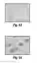 Fig. 46 - CNS delivery of therapeutic agents