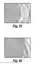 Fig. 47 - CNS delivery of therapeutic agents