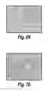 Fig. 54 - CNS delivery of therapeutic agents