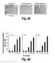 Fig. 67 - CNS delivery of therapeutic agents