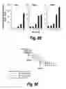 Fig. 69 - CNS delivery of therapeutic agents