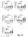 Fig. 83 - CNS delivery of therapeutic agents