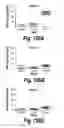 Fig. 94 - CNS delivery of therapeutic agents