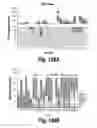 Fig. 98 - CNS delivery of therapeutic agents