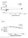 Fig. 04 - Compositions and Methods for Treating S. Pneumoniae Infection