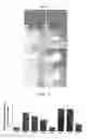 Fig. 05 - Pharmaceutical composition containing arazyme for the prevention of liver dysfunction