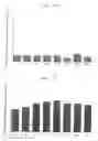 Fig. 08 - Pharmaceutical composition containing arazyme for the prevention of liver dysfunction