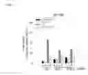 Fig. 24 - Methods used in identifying glioblastoma