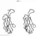 Fig. 08 - Binding Moieties Based On Shark IgNAR Domains