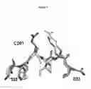 Fig. 13 - Binding Moieties Based On Shark IgNAR Domains