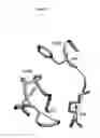 Fig. 14 - Binding Moieties Based On Shark IgNAR Domains