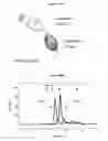 Fig. 48 - Binding Moieties Based On Shark IgNAR Domains