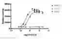 Fig. 01 - FGF21 mutants and uses thereof