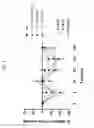 Fig. 06 - FGF21 mutants and uses thereof