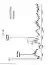 Fig. 19 - FGF21 mutants and uses thereof