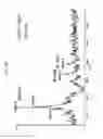 Fig. 23 - FGF21 mutants and uses thereof